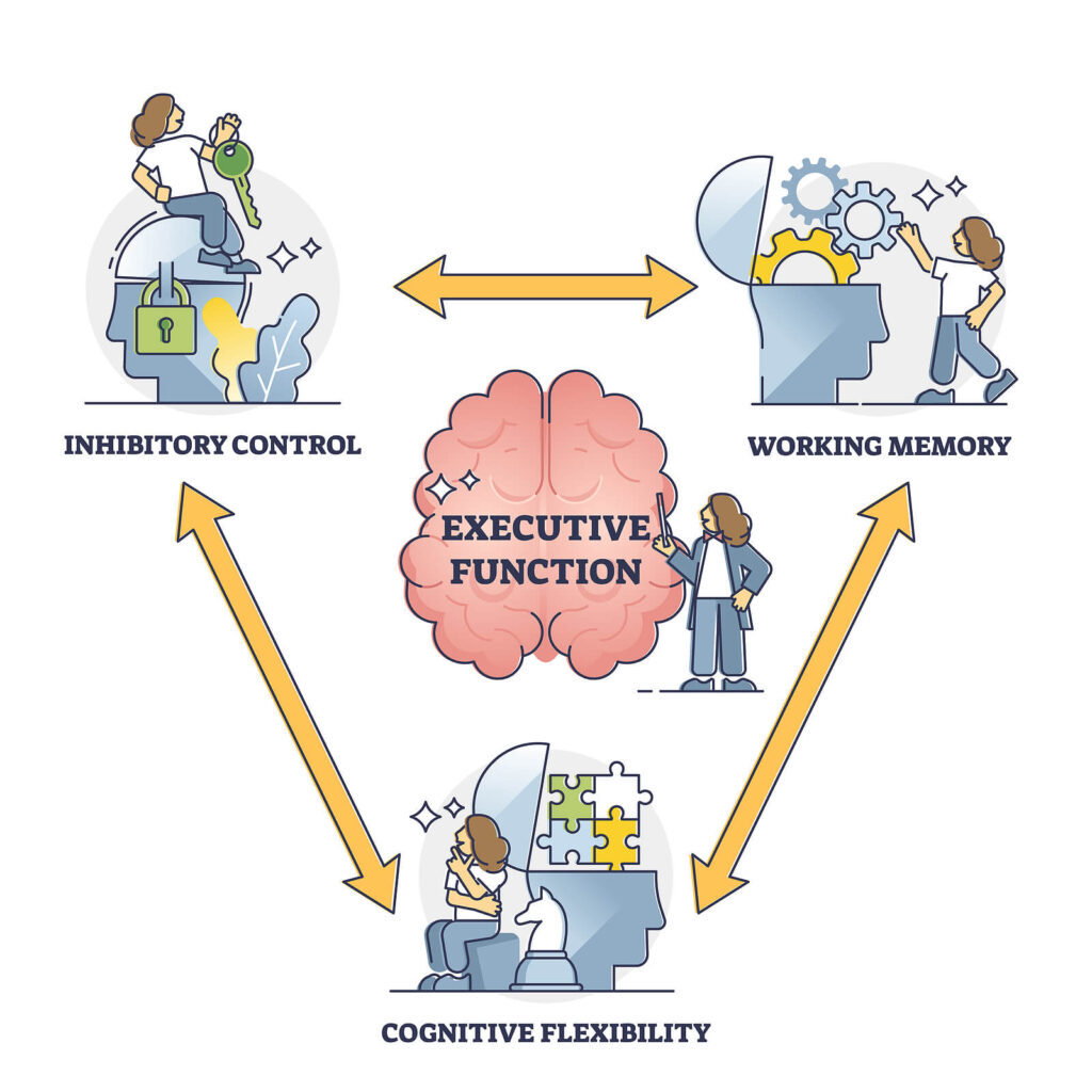 An illustration of what executive function means, such as inhibitory control, working memory & cognitive flexibility. Our ADHD treatment in Charlotte, NC can help you with executive functioning. Reach out today to get started. 